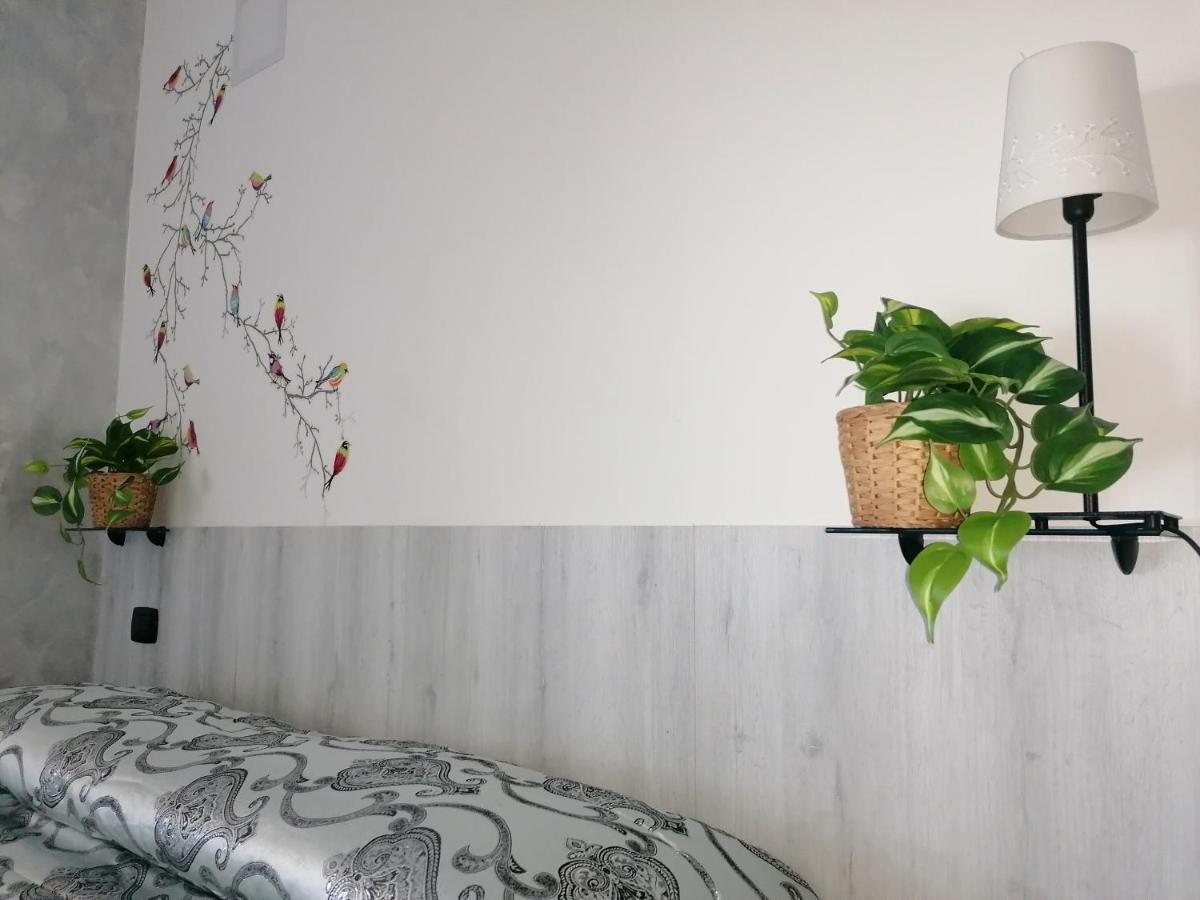 B&B Villa Molinari Restaurant E Baby Park 캄파냐 외부 사진