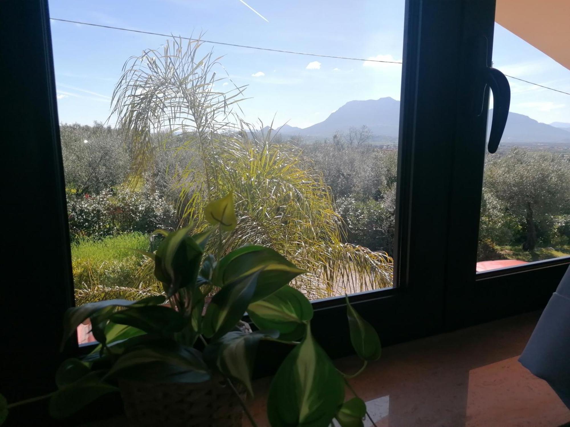 B&B Villa Molinari Restaurant E Baby Park 캄파냐 객실 사진