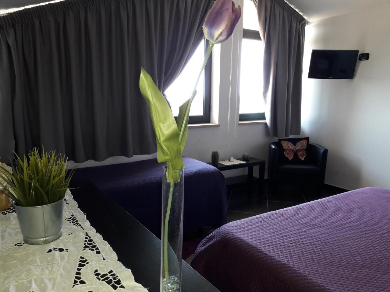 B&B Villa Molinari Restaurant E Baby Park 캄파냐 외부 사진